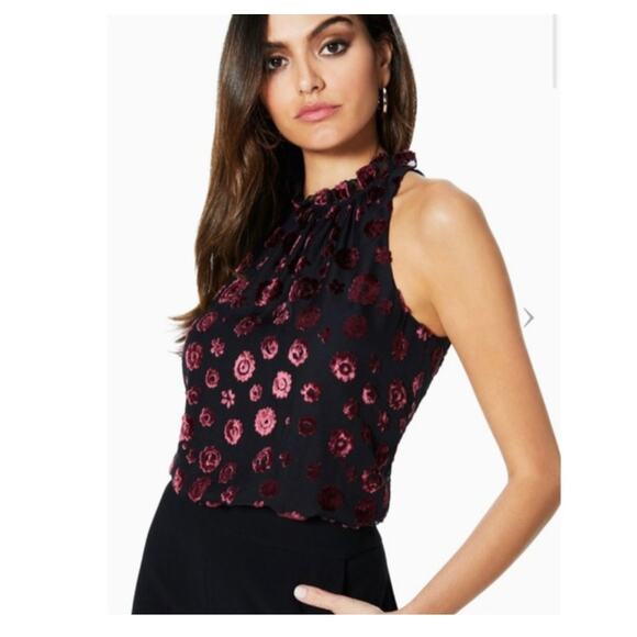 Ramy Brook Leona Floral Burnout Jumpsuit Size 0 Black Velvet Straight Leg - Picture 8 of 15